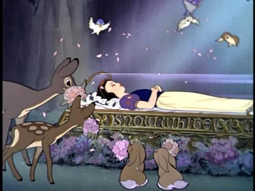 ディズニー　OLSZEWSKI　Time to Wash （白雪姫） How watching Snow White ruined my sense of hygiene as a woman in
