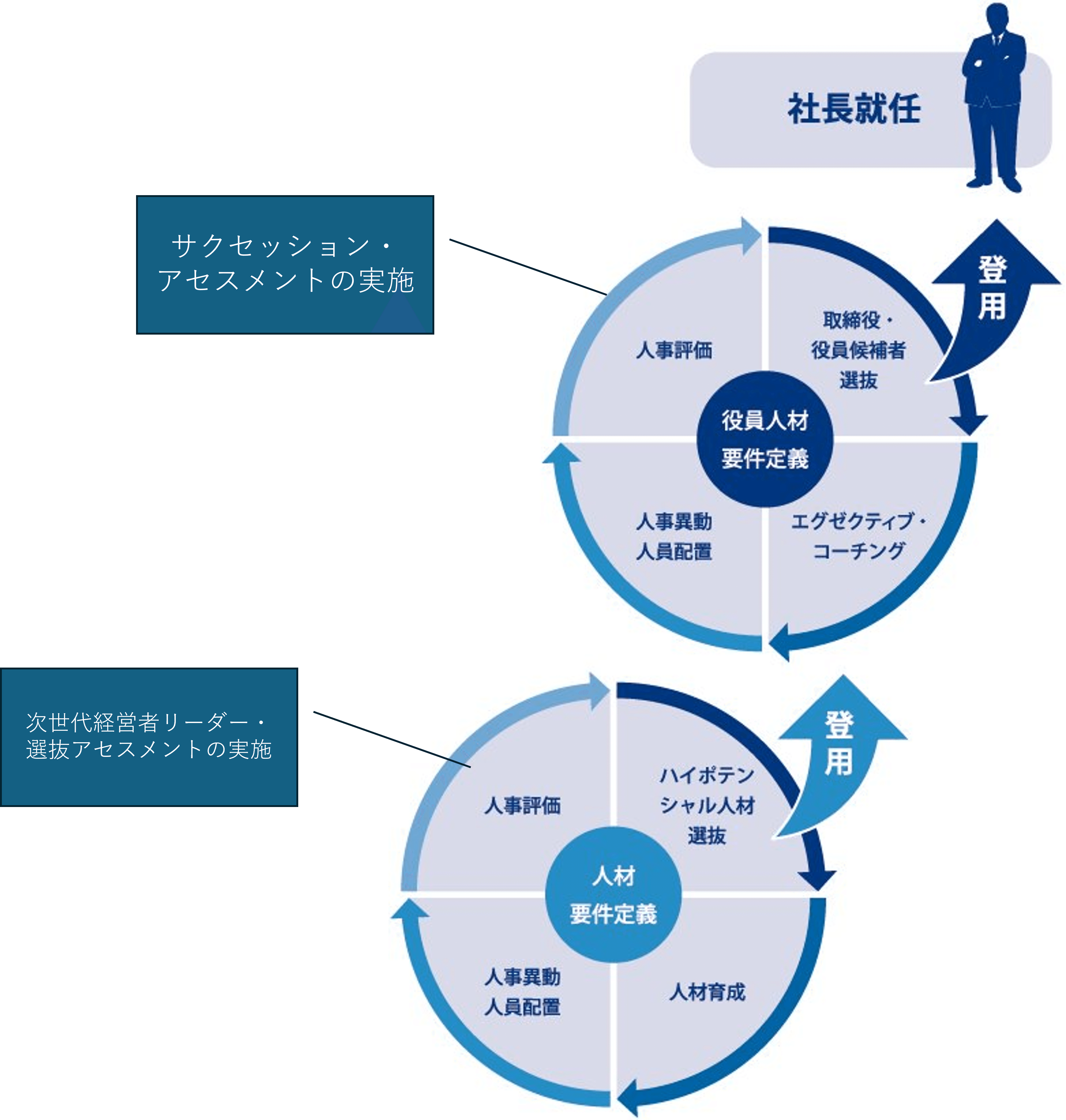 【AH】 SUCCESSORS / サクセサーズ ～後継者たち～　■第２版和訳ルール付き■ 後継者計画（サクセッション・プランニング）」の設計と運用 - WTW