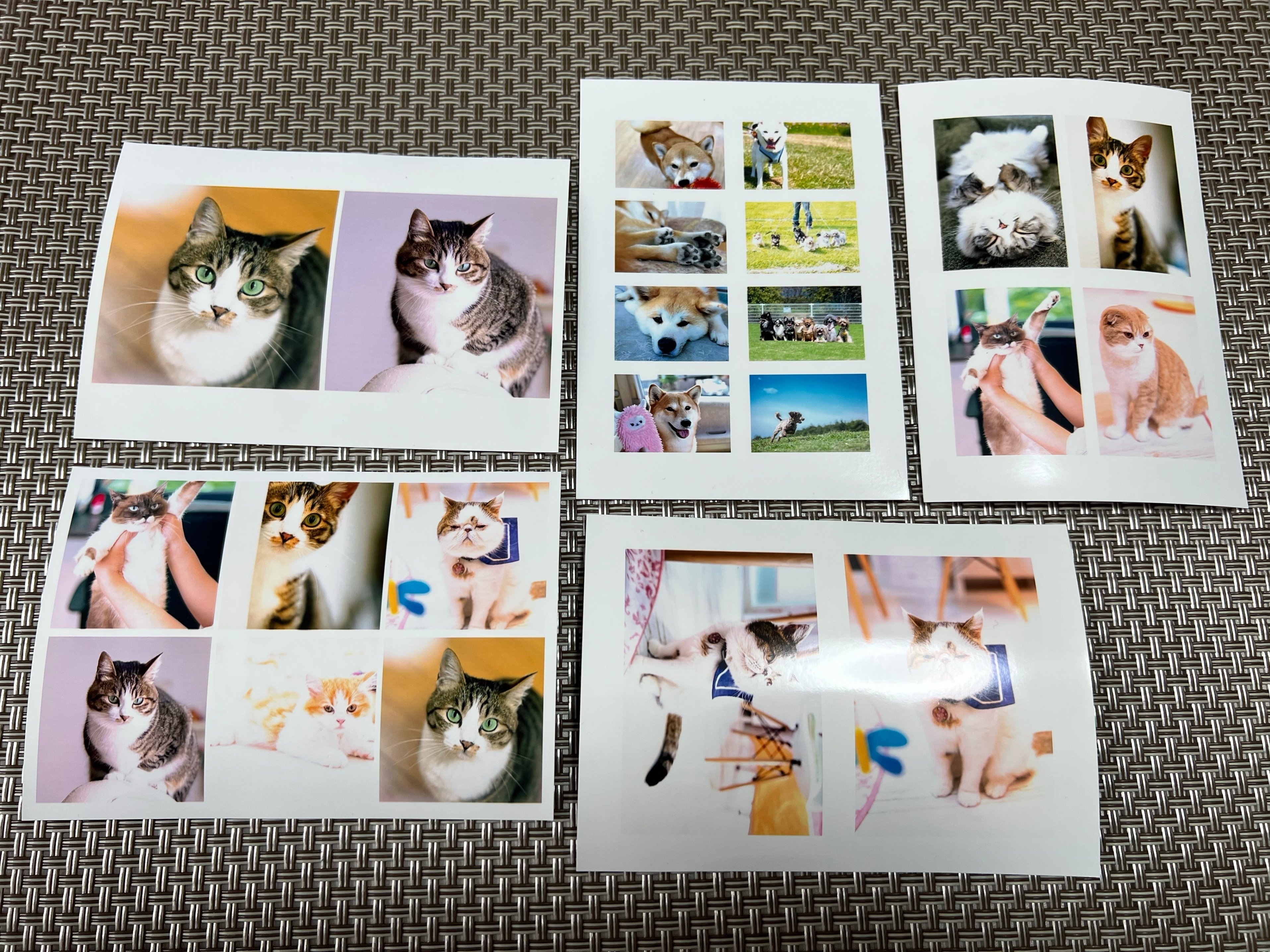 コンビニで1枚の紙に複数の写真を印刷する方法をすべて試した｜あいこうら