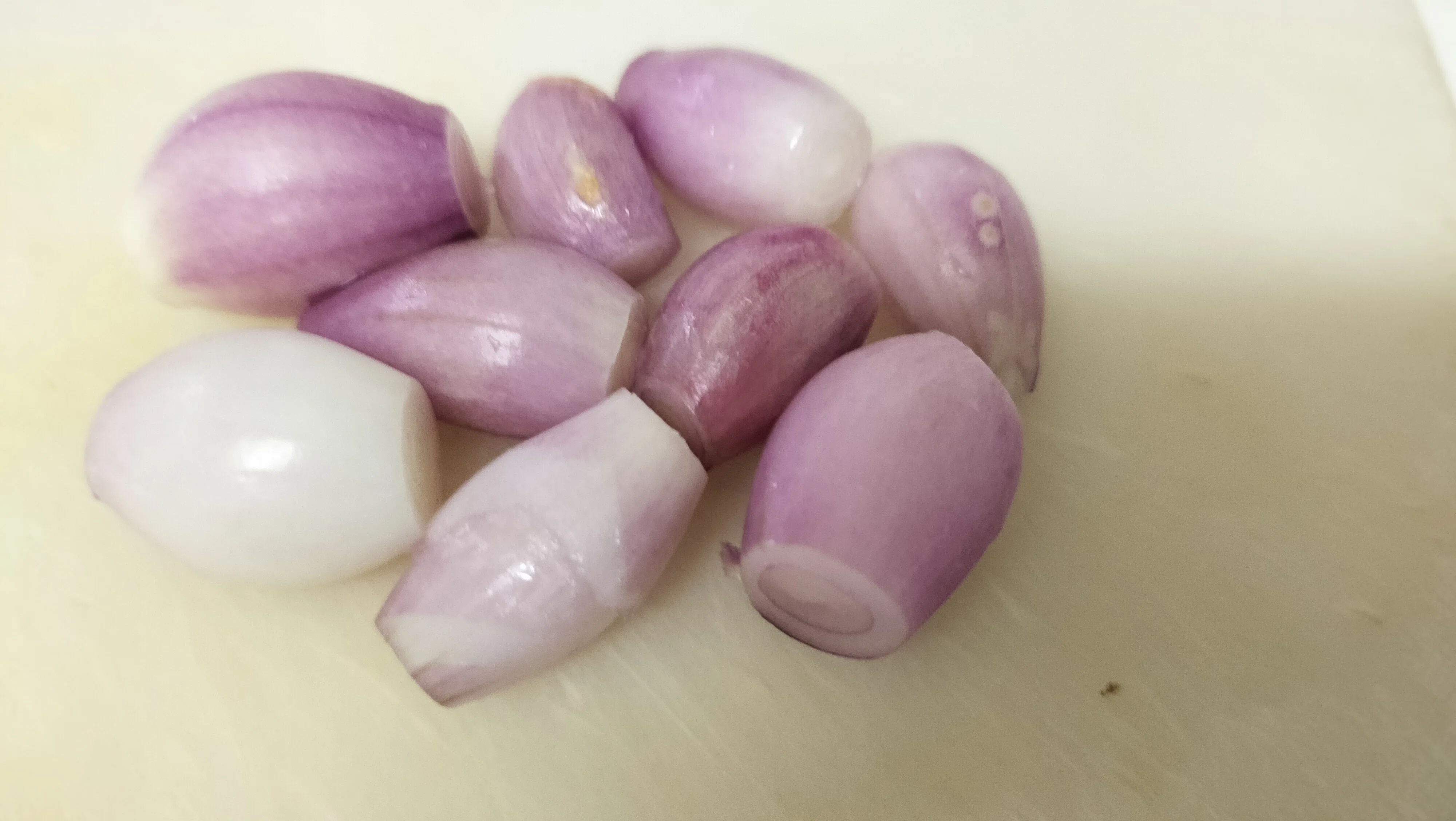 タイ料理にハマりたい！ その8：番外編2 タイ料理食材を家庭菜園で作