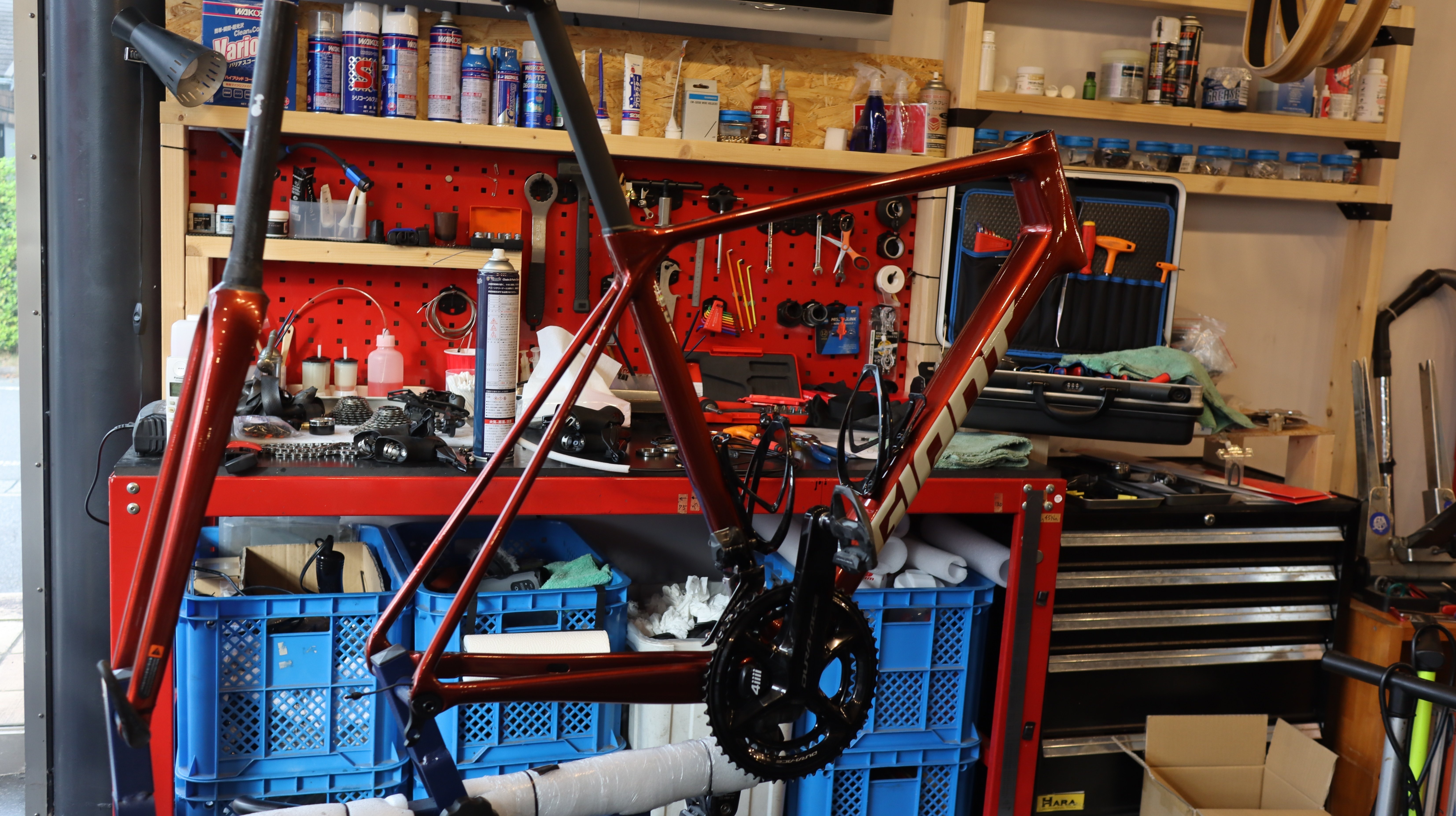 スタッフバイク紹介Vol.2 TCR ADVANCED 1 KOM |BIKE SHOP FORZA スタッフバイク紹介Vol.2 TCR ADVANCED 1 KOM |BIKE SHOP FORZA
