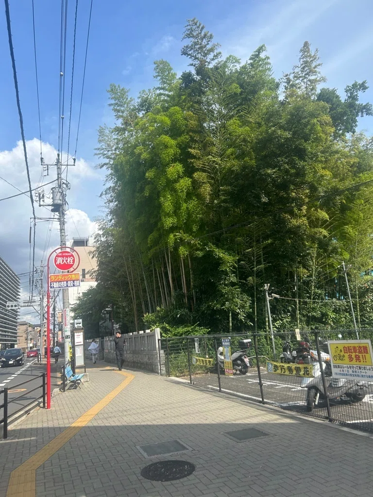 八幡 の 藪 知らず 事件