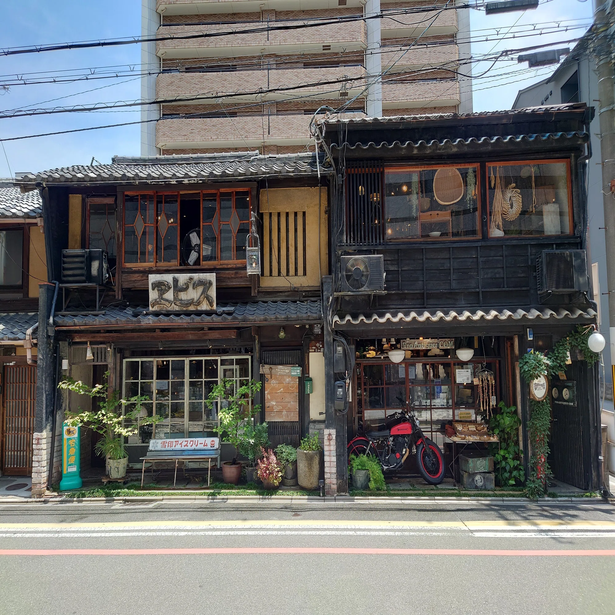 また買ってしまった「TN印プレスガラス八割り(明治)」｜Arie