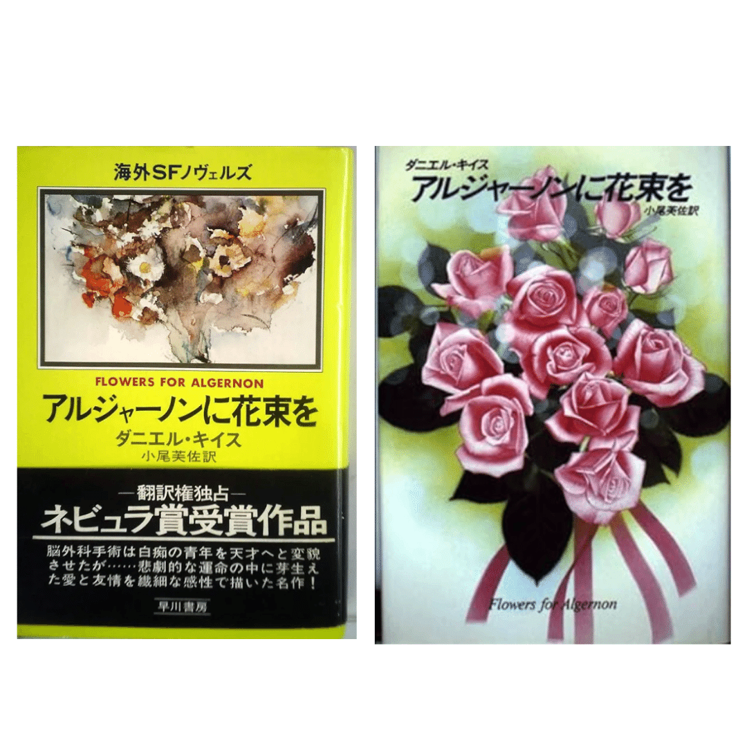 日々のことり/アルジャーノンに花束を｜森田はぐみ illustrator