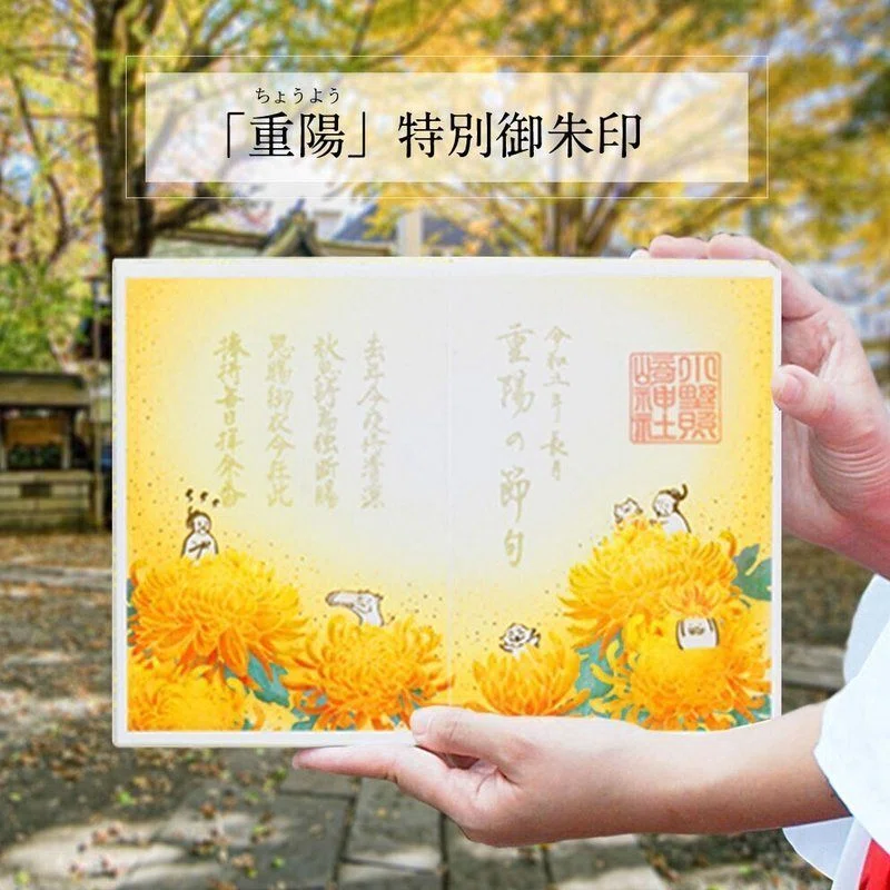 9月9日は菊づくし「重陽の節句」|小野照崎神社