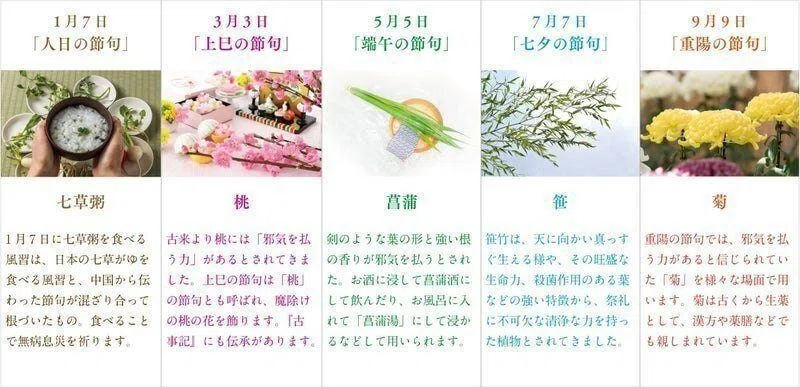 9月9日は菊づくし「重陽の節句」|小野照崎神社