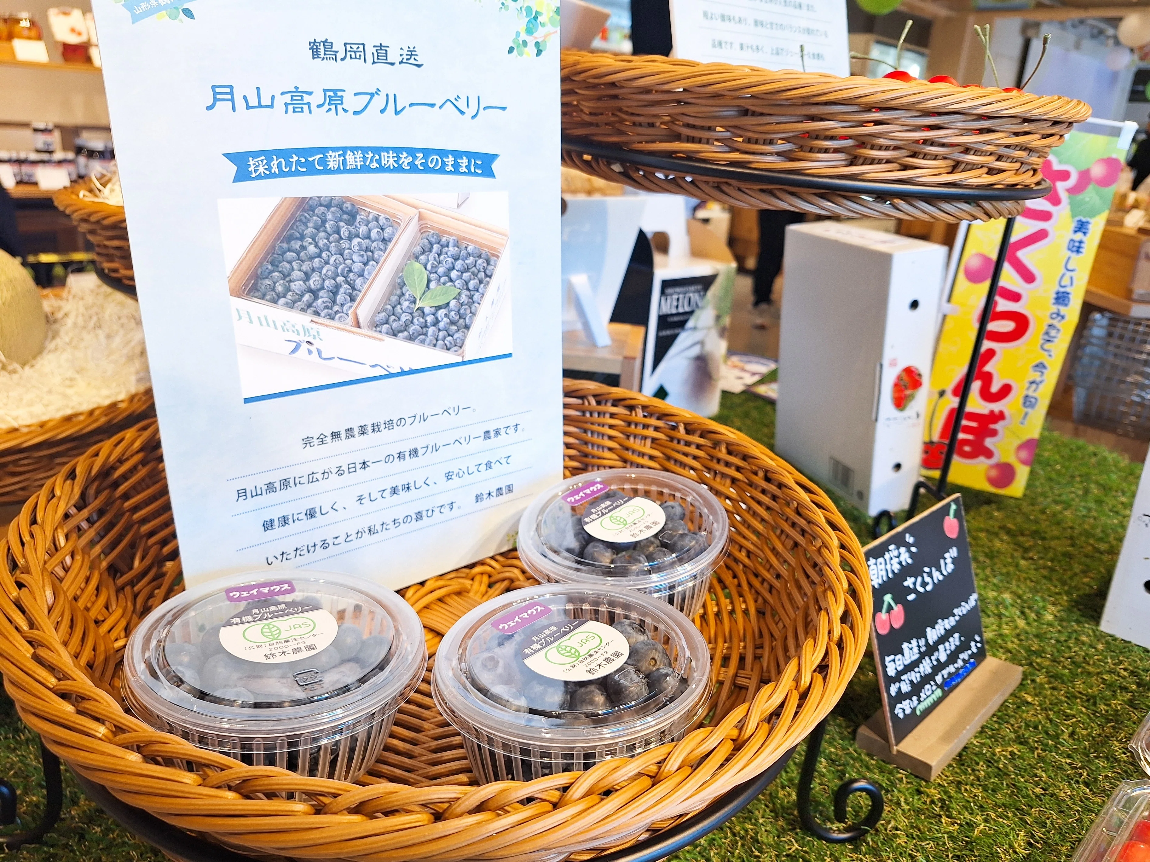 ユネスコ食文化創造都市”鶴岡市の魅力を堪能！【山形県鶴岡市グランド