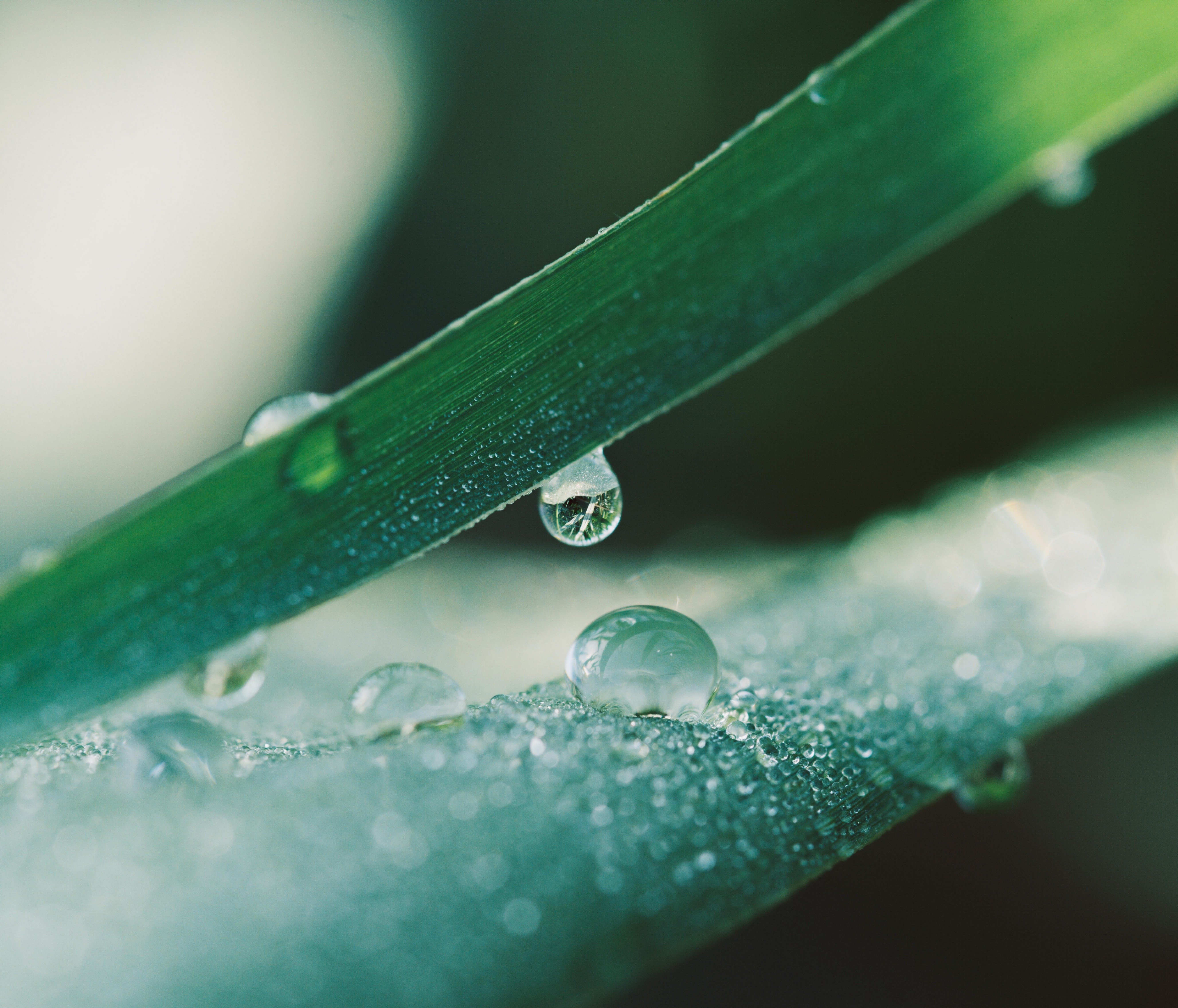 smc PENTAX-FA645 MACRO 120mmF4 | GFX50SII』 RAWデータ配布|Keigo smc PENTAX-FA645 MACRO 120mmF4 | GFX50SII』 RAWデータ配布|Keigo
