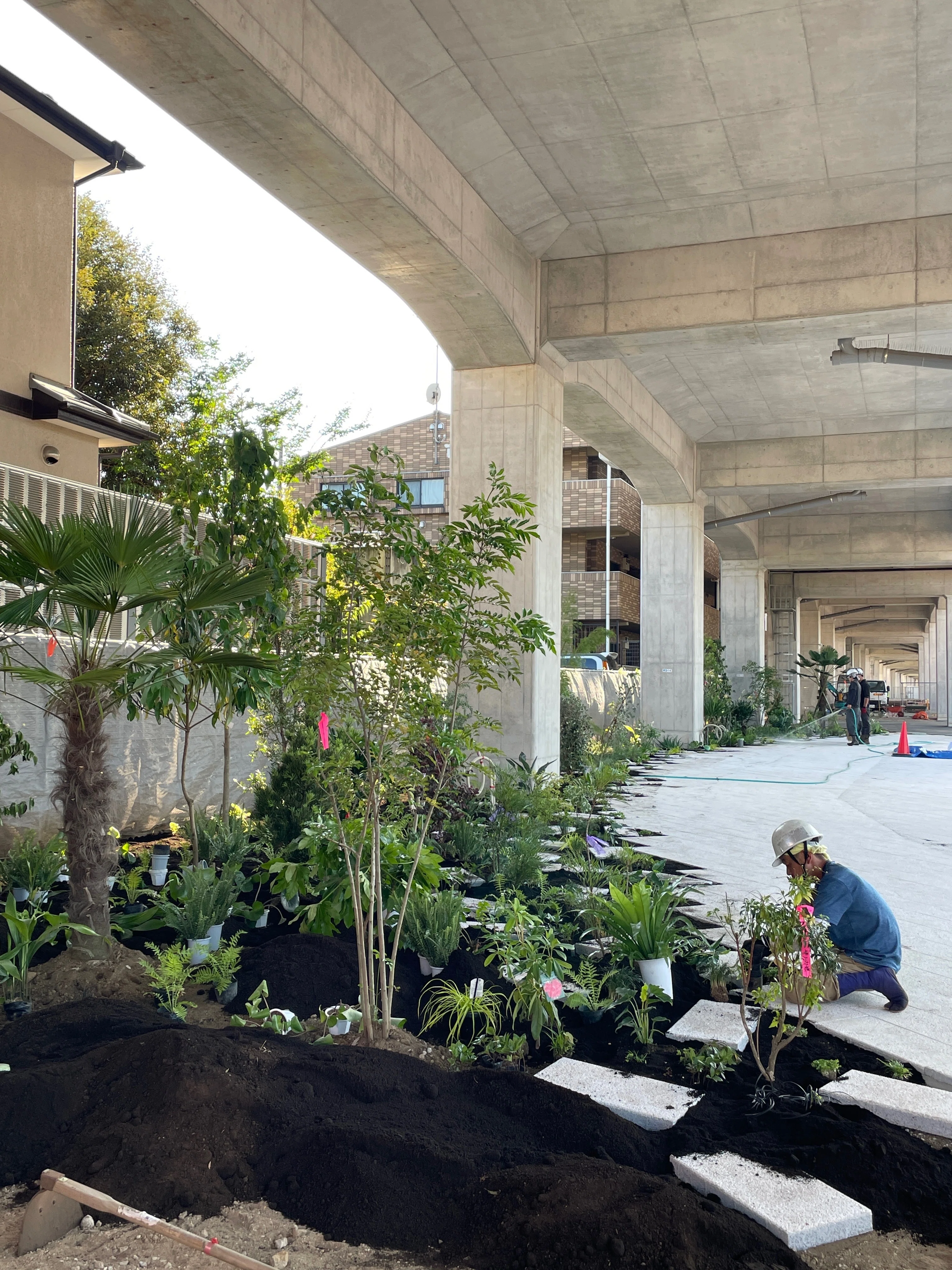 植栽家の日常】20240612 新しくできる広場の植栽工事 第2日め|太田 植栽家の日常】20240612 新しくできる広場の植栽工事 第2日め|太田