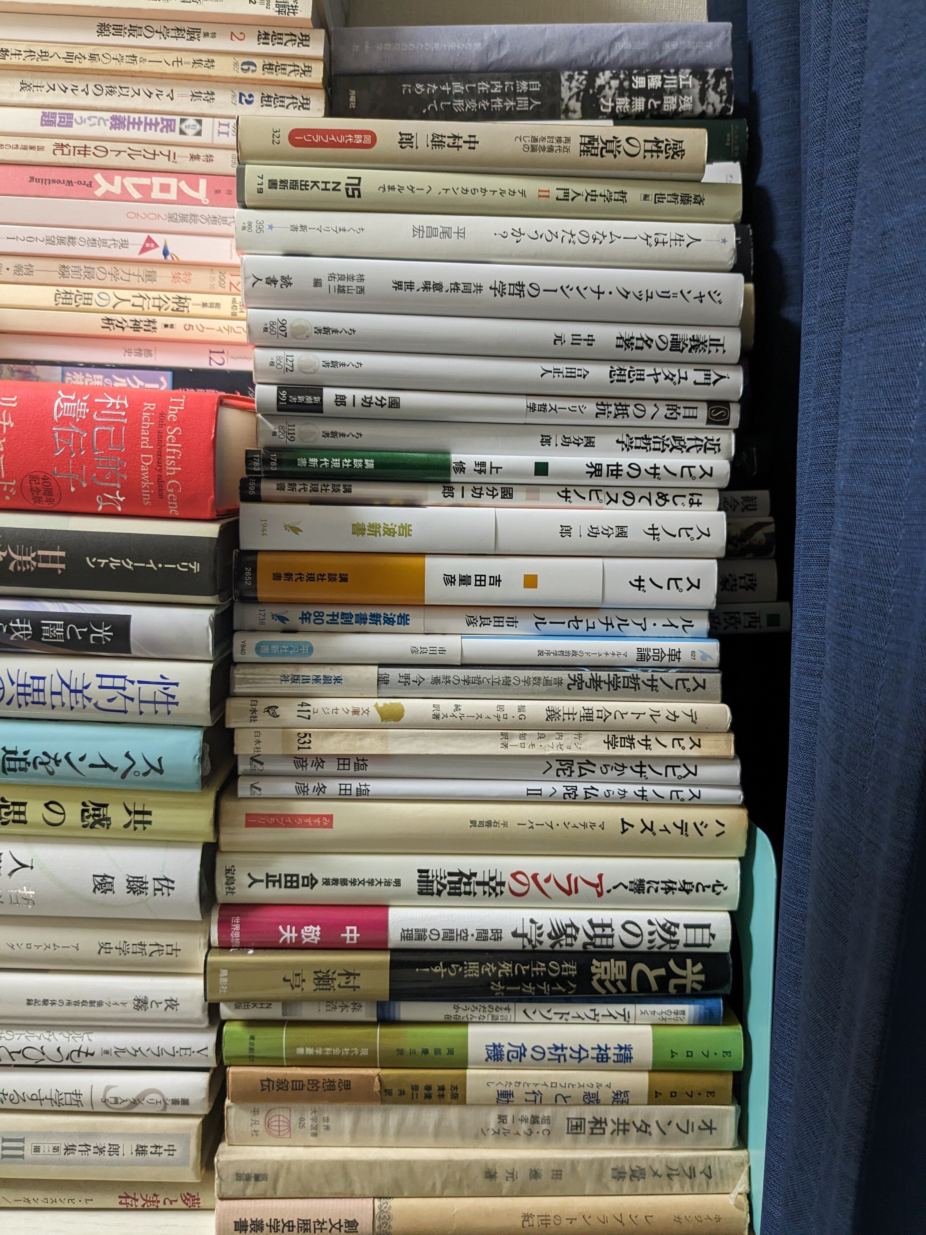 スピノザ関連書籍・約300冊！ もはや収集癖の域 私の