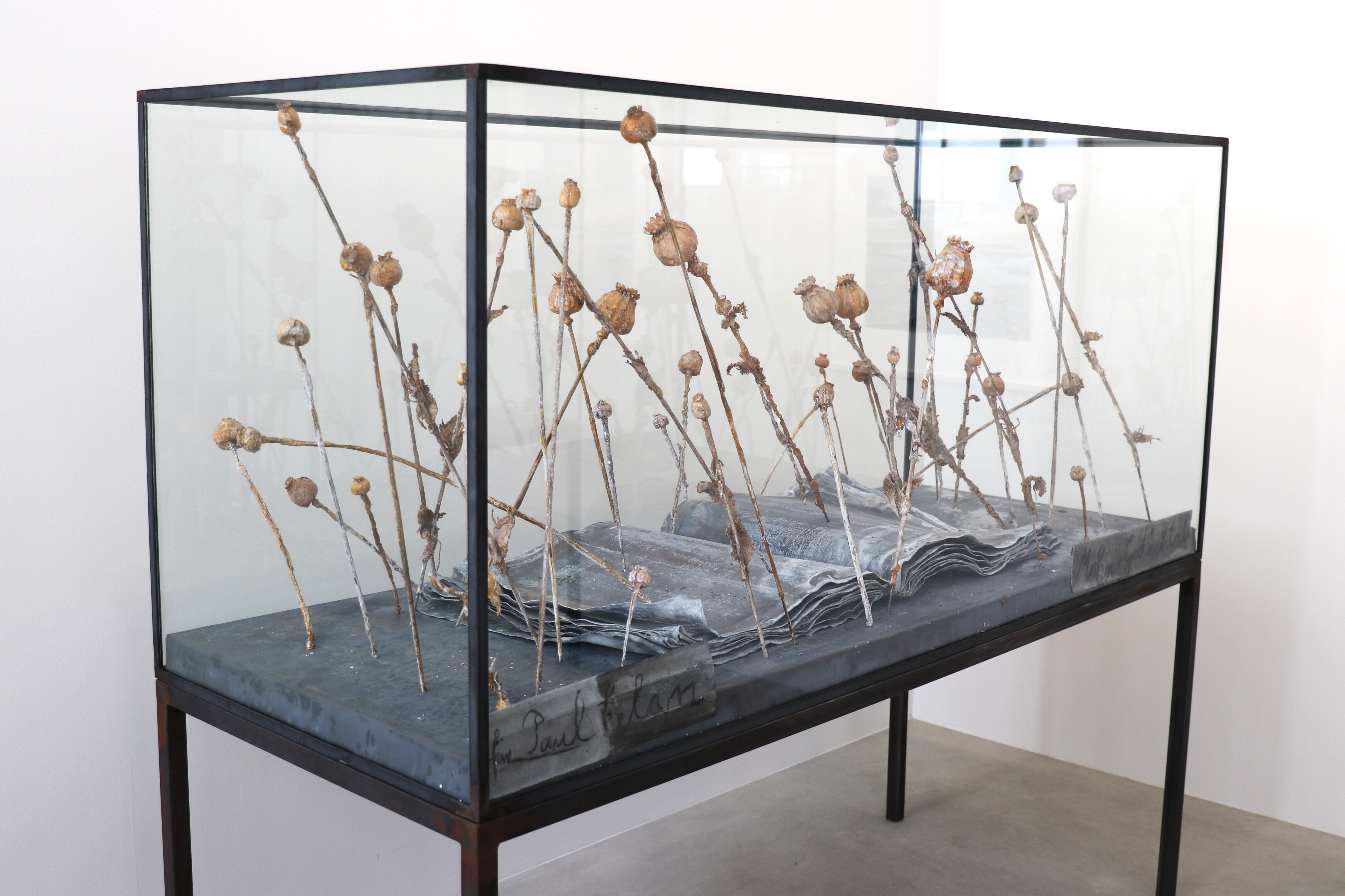 Anselm Kiefer: Opus Magnum | Fergus McCaffrey