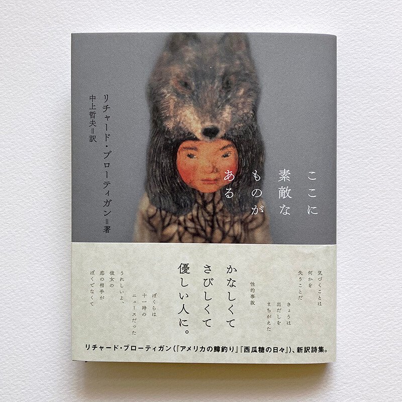 L344洋書古書　セルロイド装丁のアンティーク詩集 どのページも本当に素敵です♡ アンティーク洋書☆チェコの豪華な古書 Boleslav Jablonský 詩集