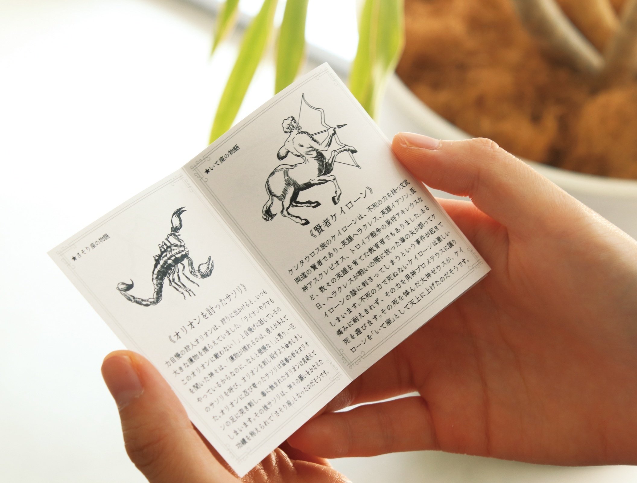 星座に秘められた神々の物語をその手に。ゾディアックホイールトランプ