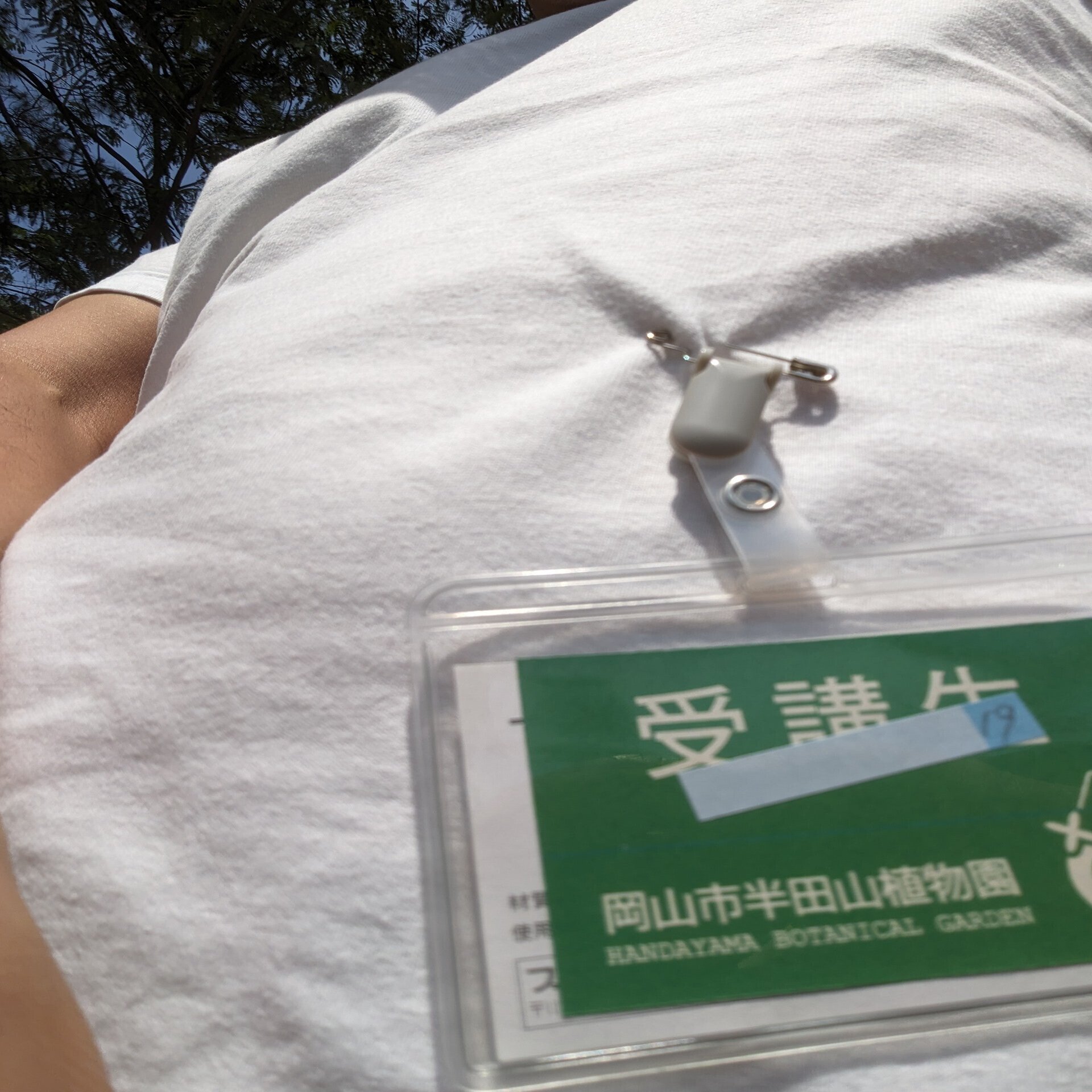 溝付き木製タンブール壁パネル、木製スラット、DIY |キャロル・ヤング, image size:1500x2000