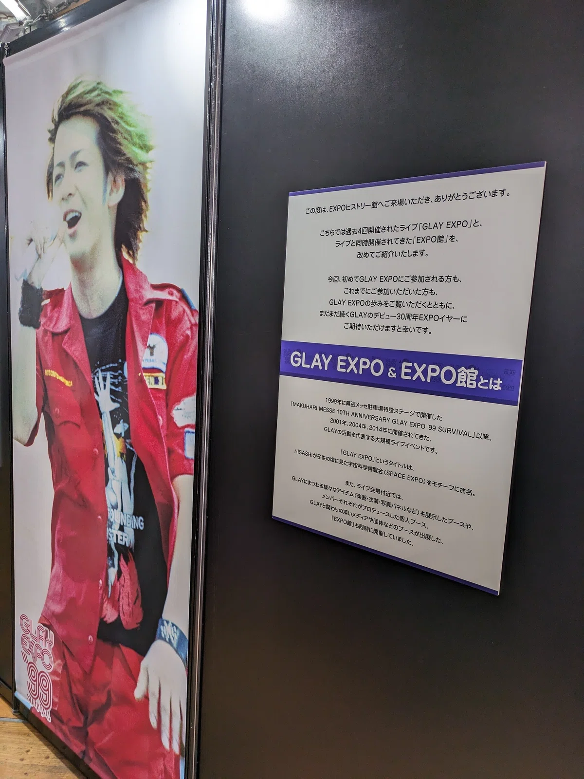 GLAY EXPO HISASHI うちわ なくっ ベルーナドーム 非売品ステッカー