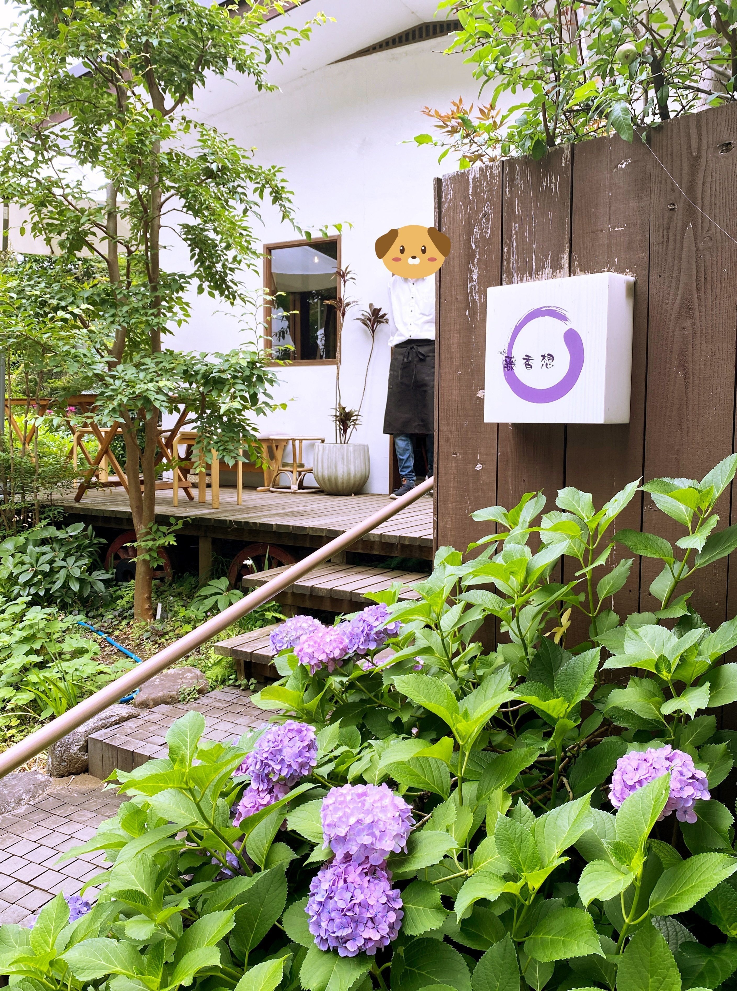 ✨赤毛のアン✨オリジナル手書き原稿！✨PE島コンフェデレーション・アーカイヴス✨ AZONE INTERNATIONAL::えっくす☆きゅーと::商品詳細