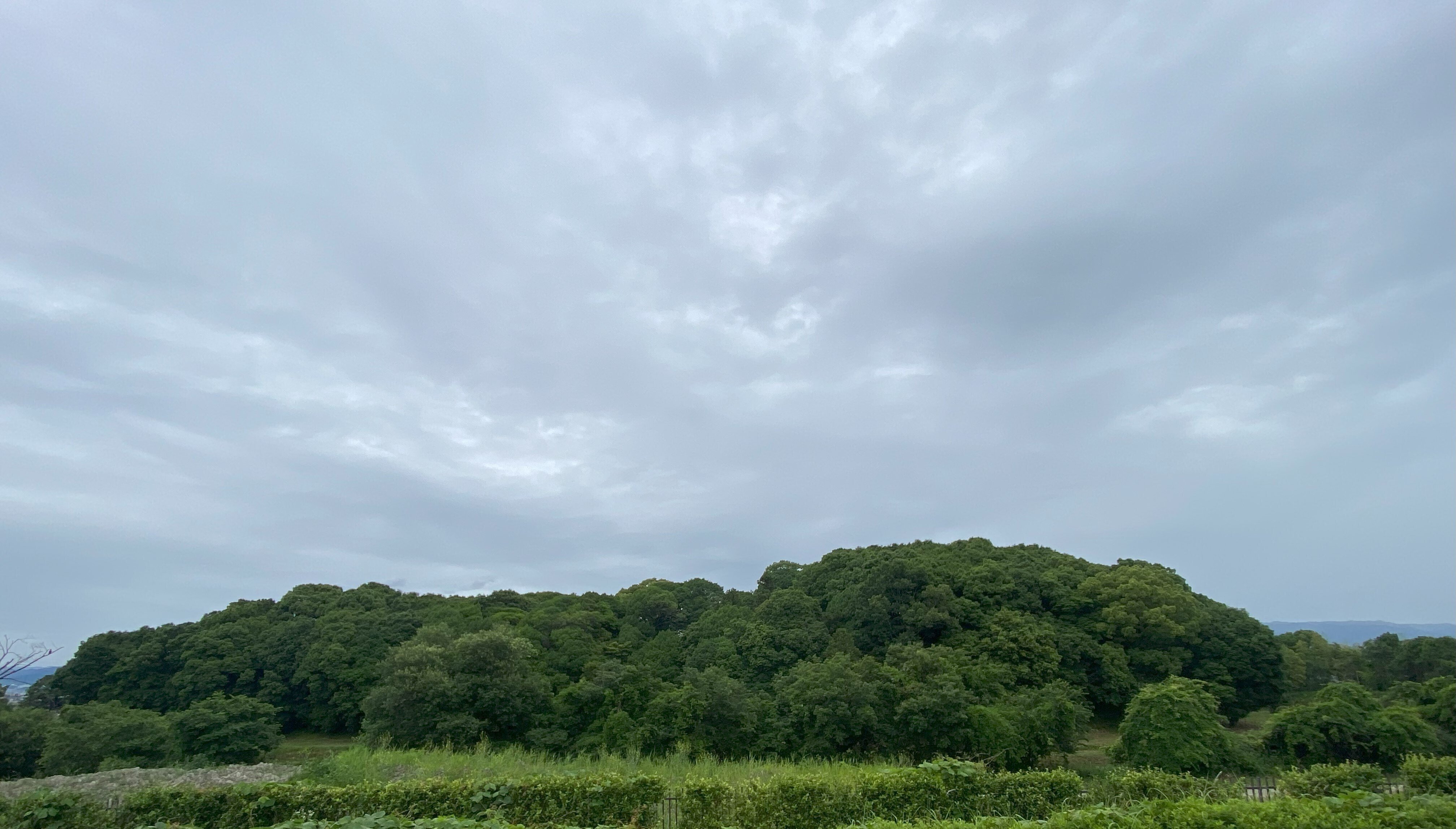 巣山古墳～奈良県広陵町｜高坂正澄