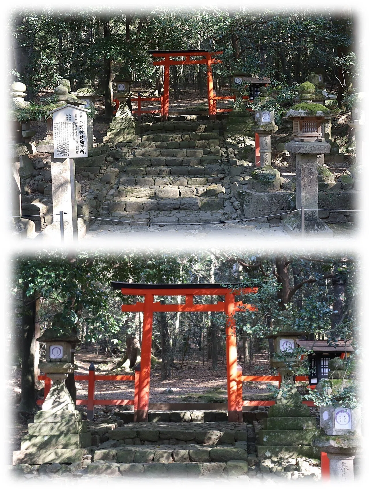 春日大社 §3 「若宮十五社巡り」｜wabi・sabi