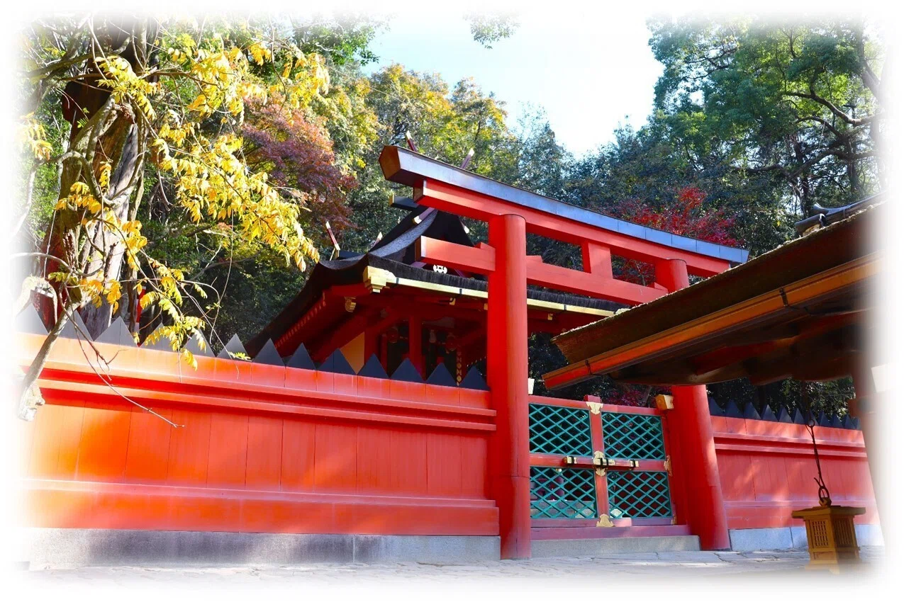 春日大社 §3 「若宮十五社巡り」｜wabi・sabi