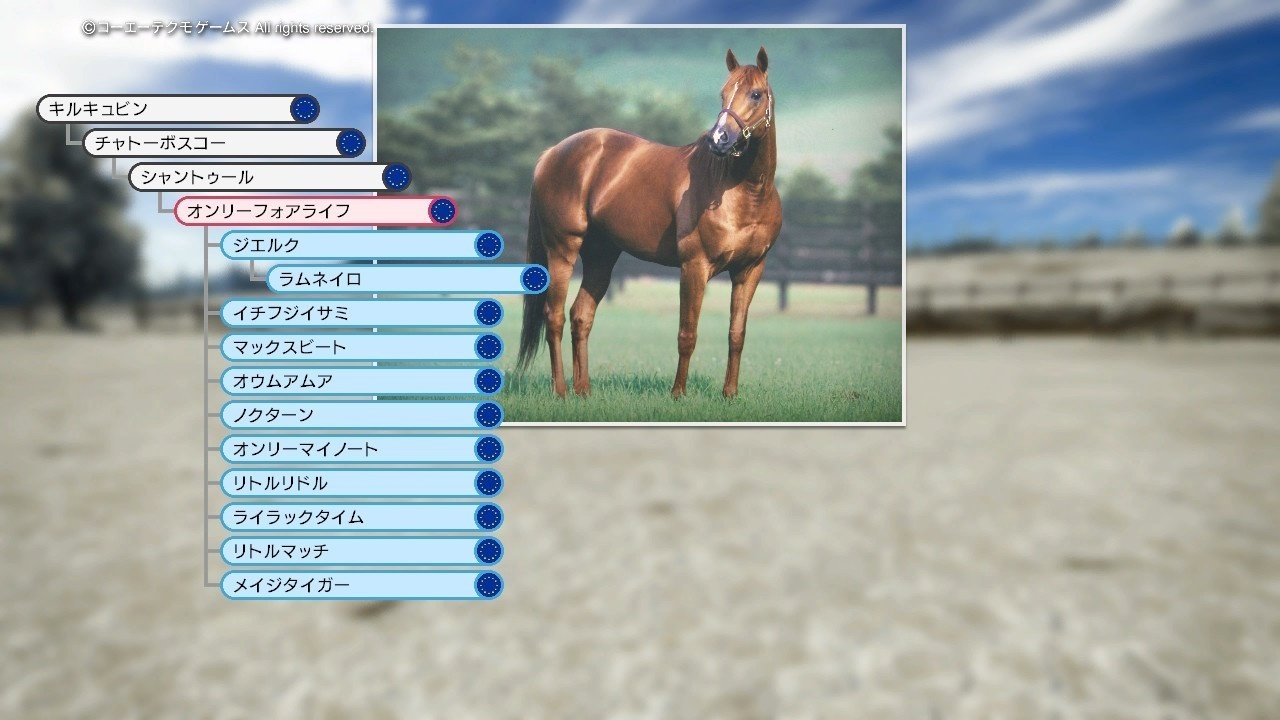Winning Post 10 2024 オンリーフォアライフ 系統確立｜アリゼオ