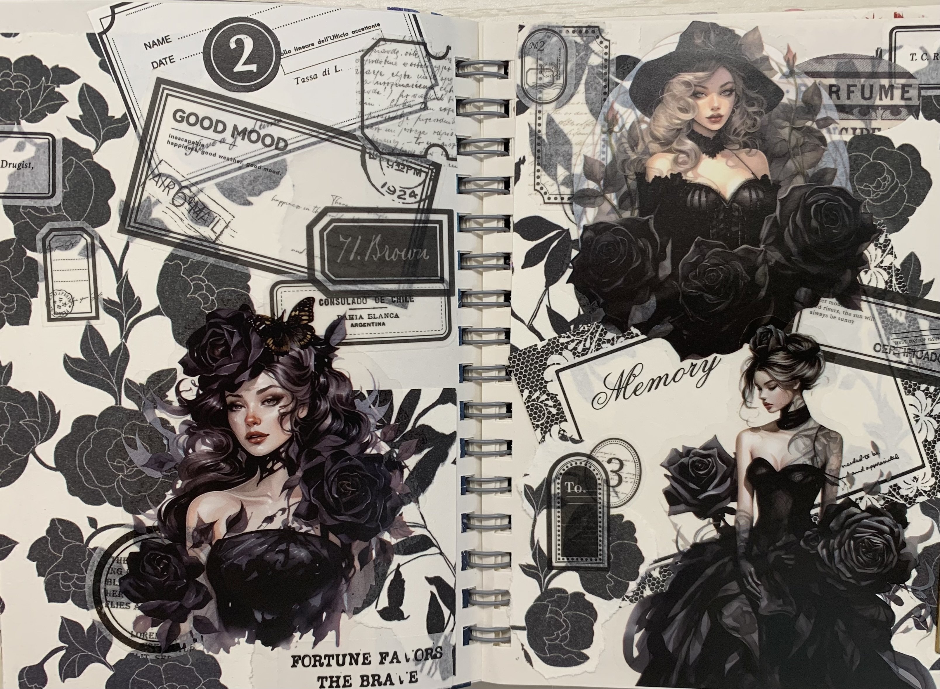 夏前コラージュ｜vivi