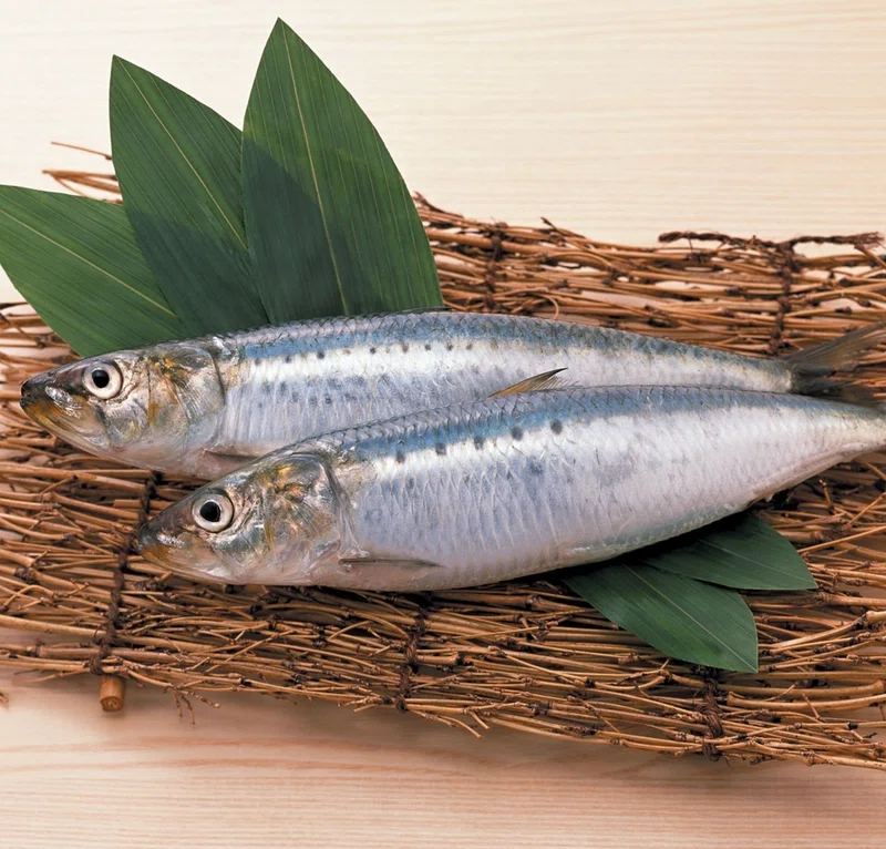 6~7月に銚子で味わえる極上の「入梅いわし」|やました@非公認銚子観光大使