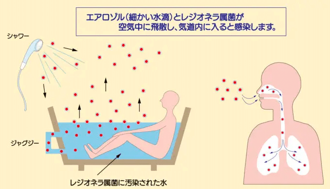 【臨床医学各論】子どもを取り巻く「菌感染症」を理解して正しく恐れましょう｜Tetsu@鍼灸学生