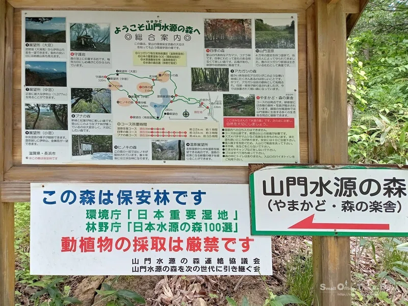 【滋賀県】奥びわ湖・山門水源の森(2024/05/29)|しう@そと