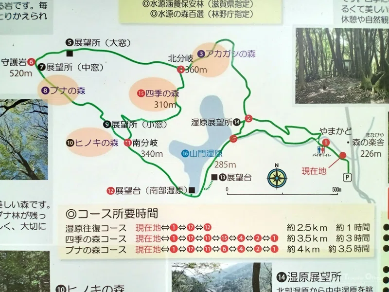 【滋賀県】奥びわ湖・山門水源の森(2024/05/29)|しう@そと