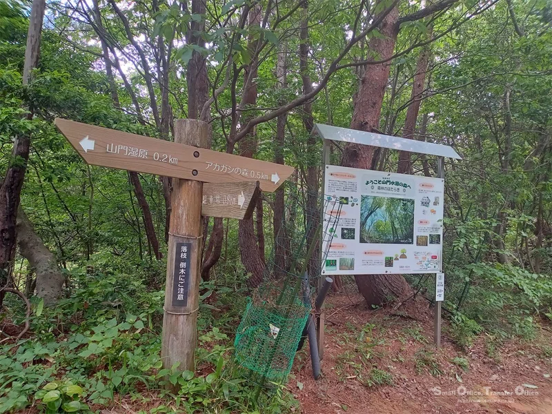 【滋賀県】奥びわ湖・山門水源の森(2024/05/29)|しう@そと