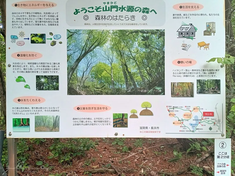 【滋賀県】奥びわ湖・山門水源の森(2024/05/29)|しう@そと