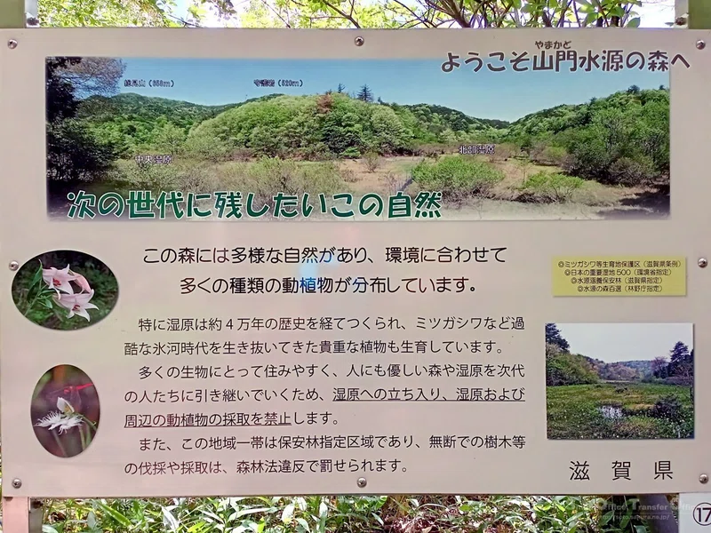 【滋賀県】奥びわ湖・山門水源の森(2024/05/29)|しう@そと
