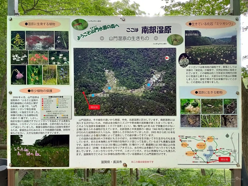 【滋賀県】奥びわ湖・山門水源の森(2024/05/29)|しう@そと