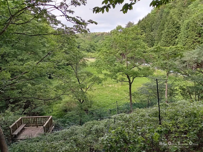 【滋賀県】奥びわ湖・山門水源の森(2024/05/29)|しう@そと