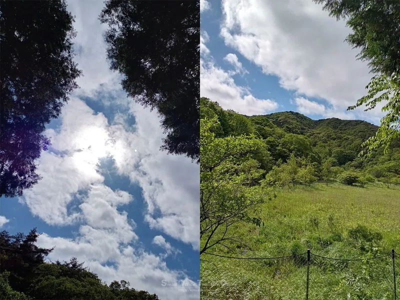 【滋賀県】奥びわ湖・山門水源の森(2024/05/29)|しう@そと