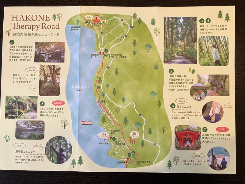 箱根九頭龍の森セラピーロード
