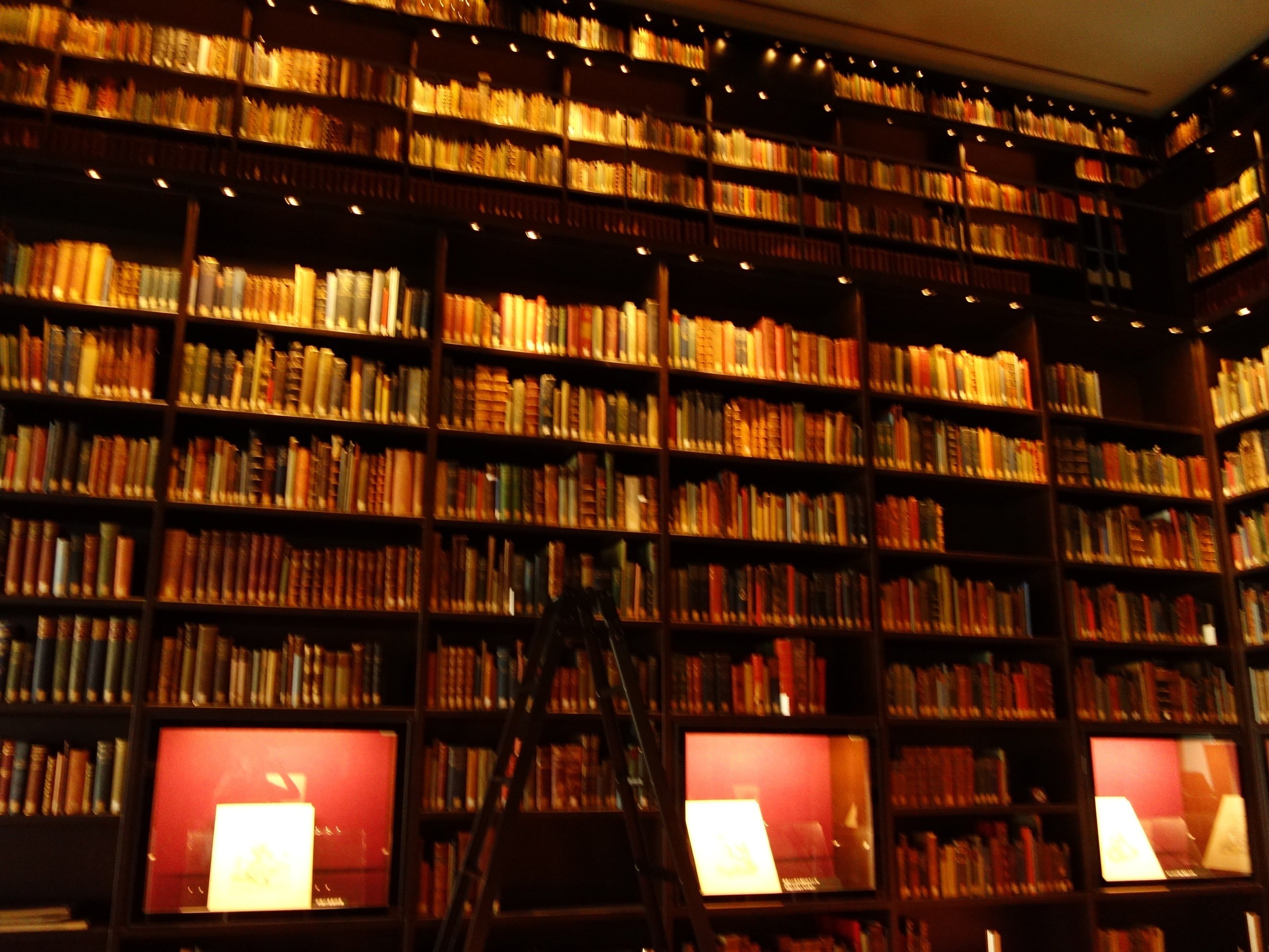 洋書 encounters the meetings of asia & europe Encounters: The Meeting of Asia and Europe 1500 - 1800: Jackson