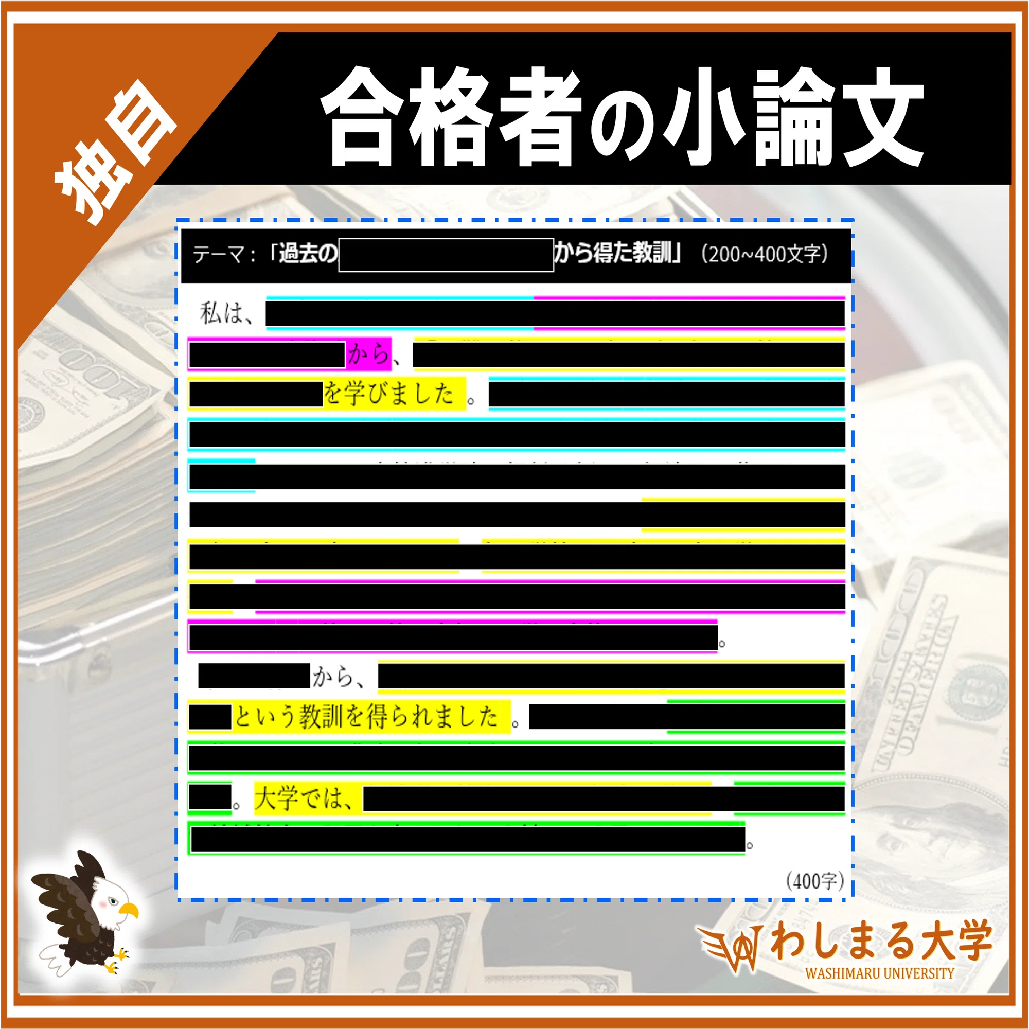 活動歴および当時の関連ビジュアル記録