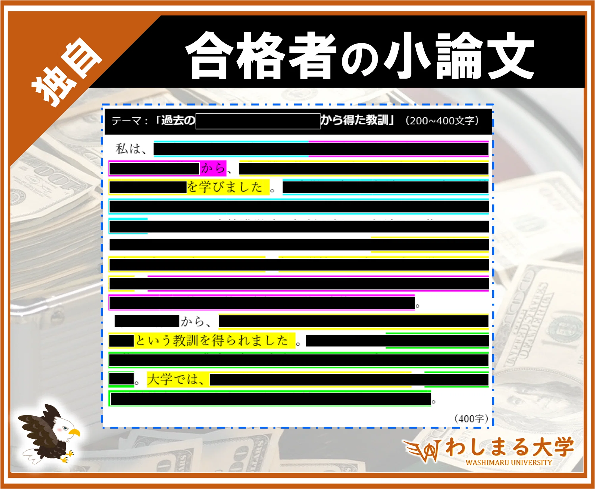 活動歴および当時の関連ビジュアル記録