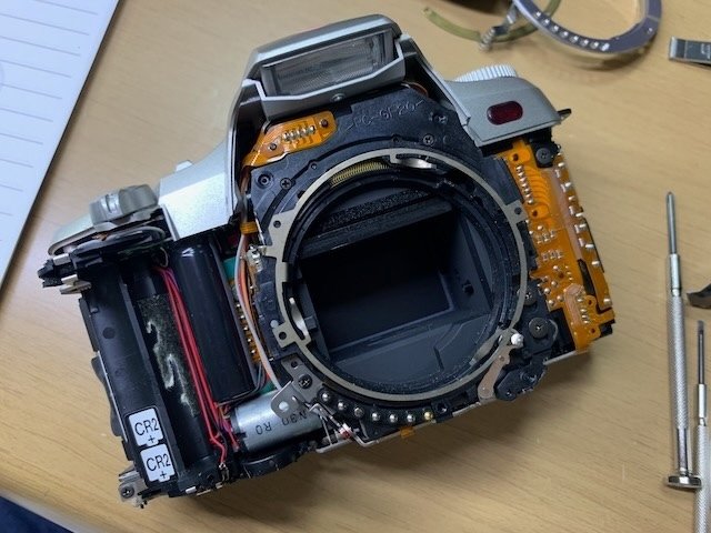 黒死病を克服したPENTAX K-30!|きくりんぐ 黒死病を克服したPENTAX K-30!|きくりんぐ