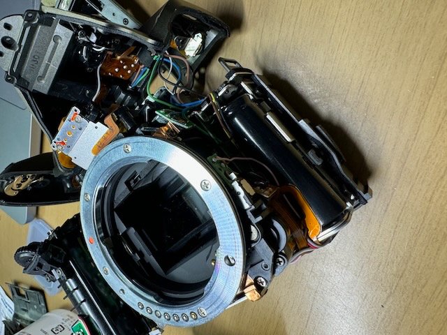 黒死病を克服したPENTAX K-30!|きくりんぐ 黒死病を克服したPENTAX K-30!|きくりんぐ