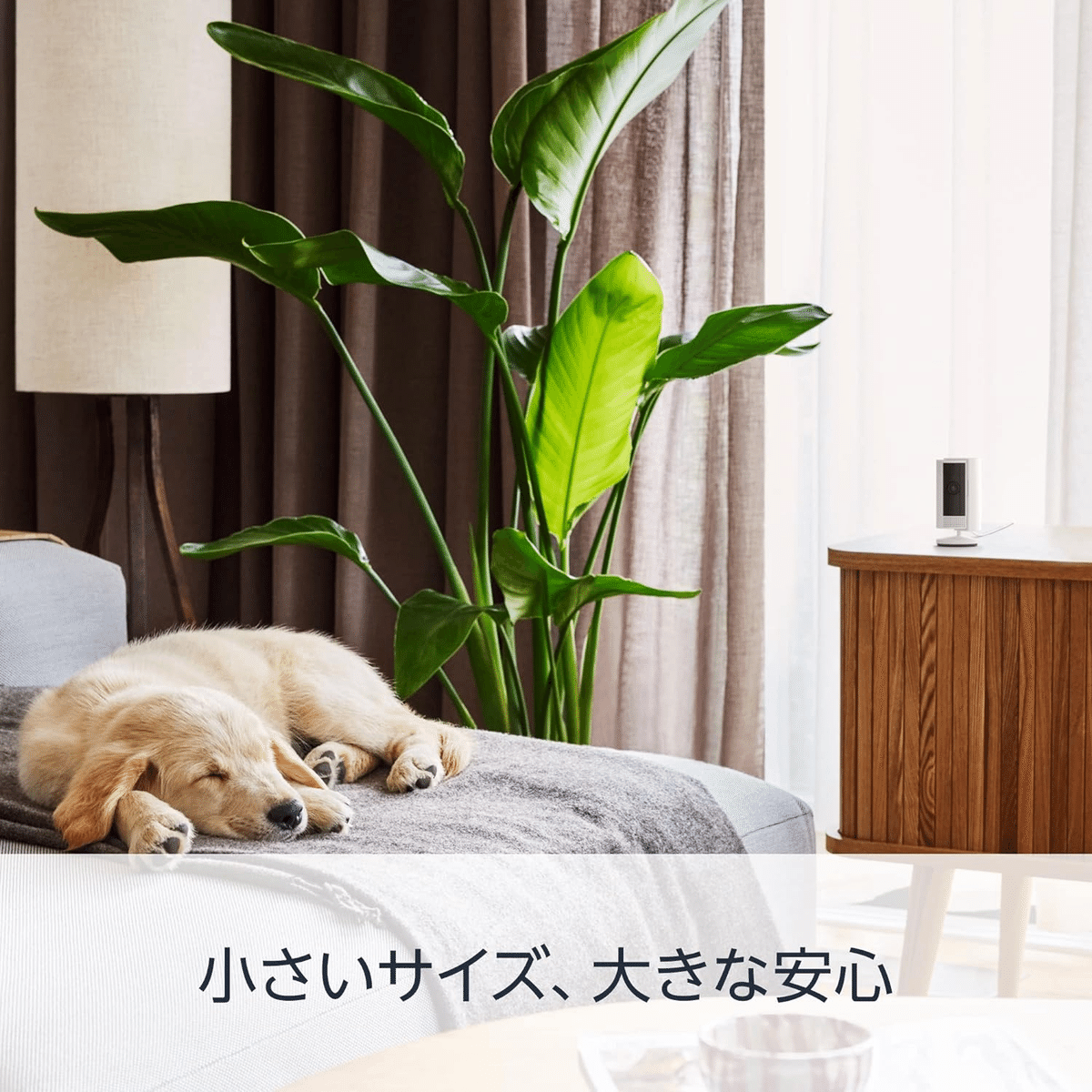 🔥Ring Indoor Cam 第2世代 - 手軽に始められるスマートな屋内用