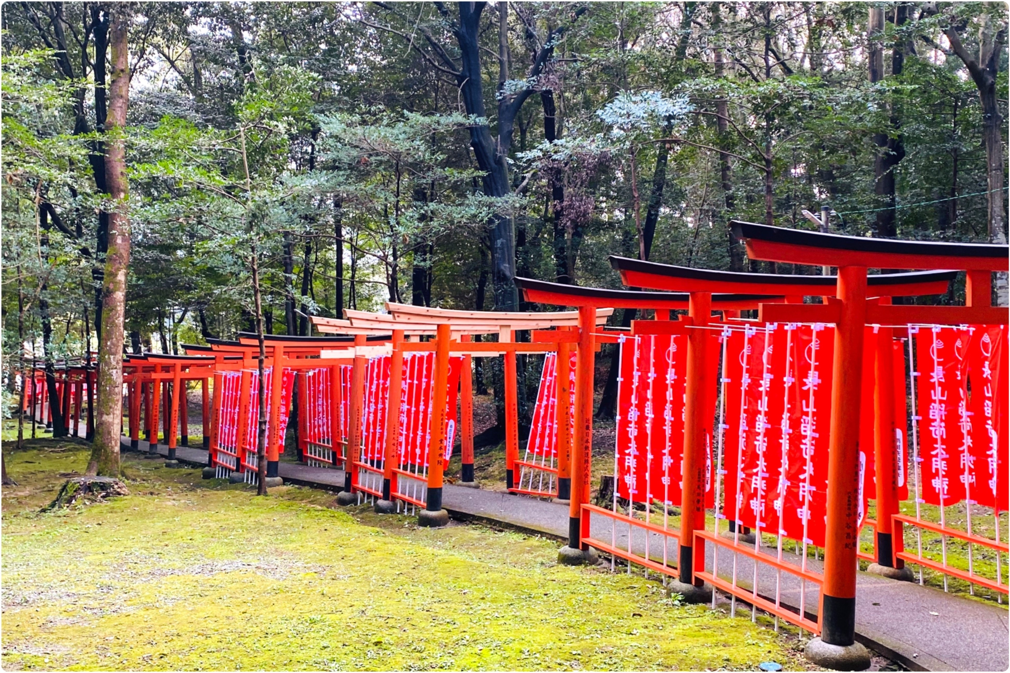 奈良に行くなら［35］〜橿原神宮編｜伊藤ミユキ