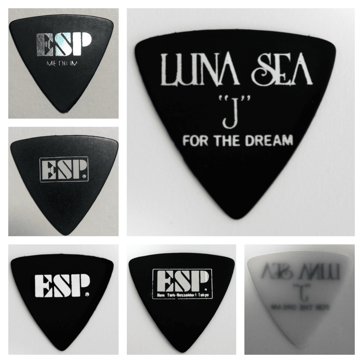 LUNA SEA DEBUT TOUR 1992 IMAGE or REAL｜LUNA SEA PICK collection