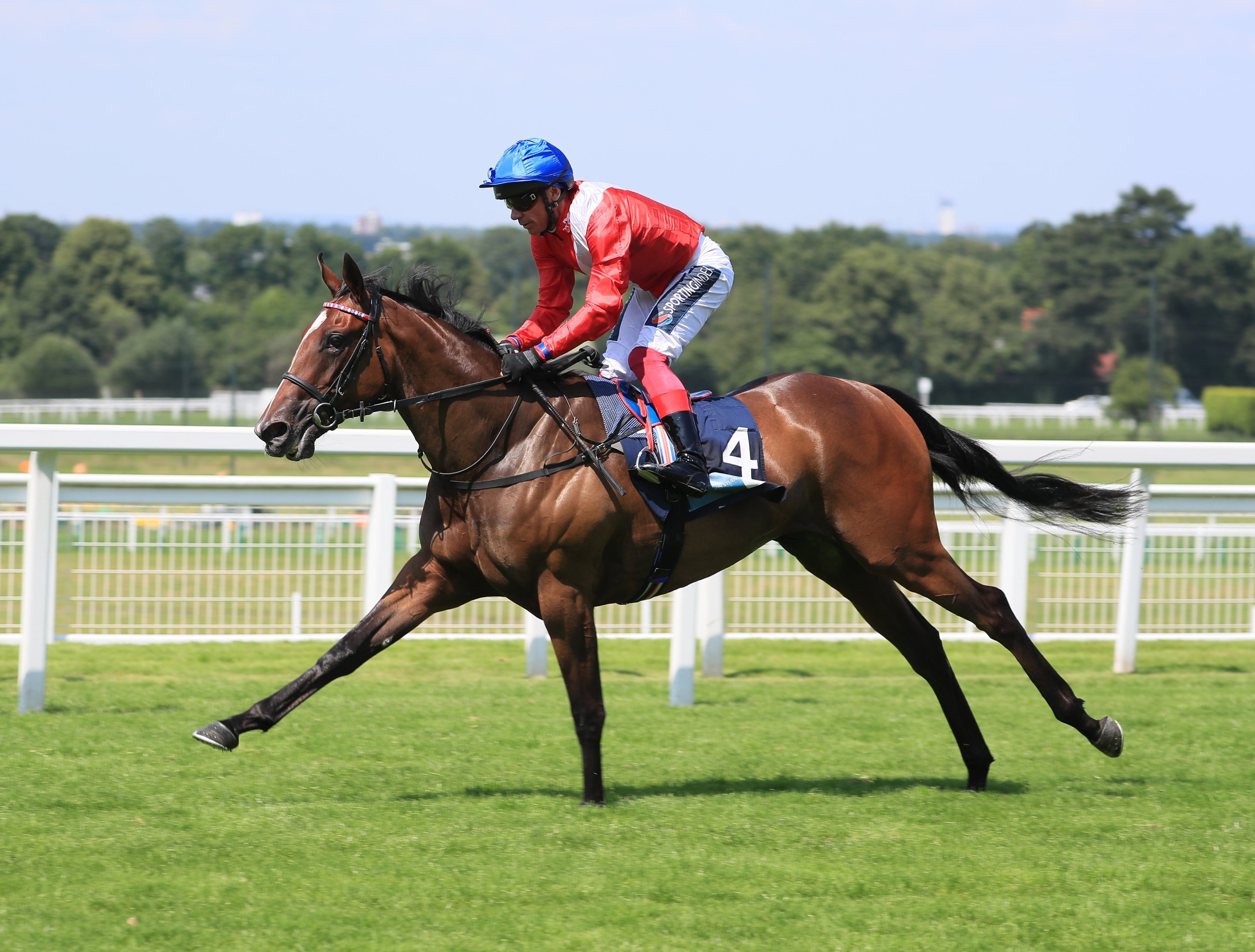 英国平地競馬の祭典・ロイヤルアスコット開催のGⅠレース有力馬解説