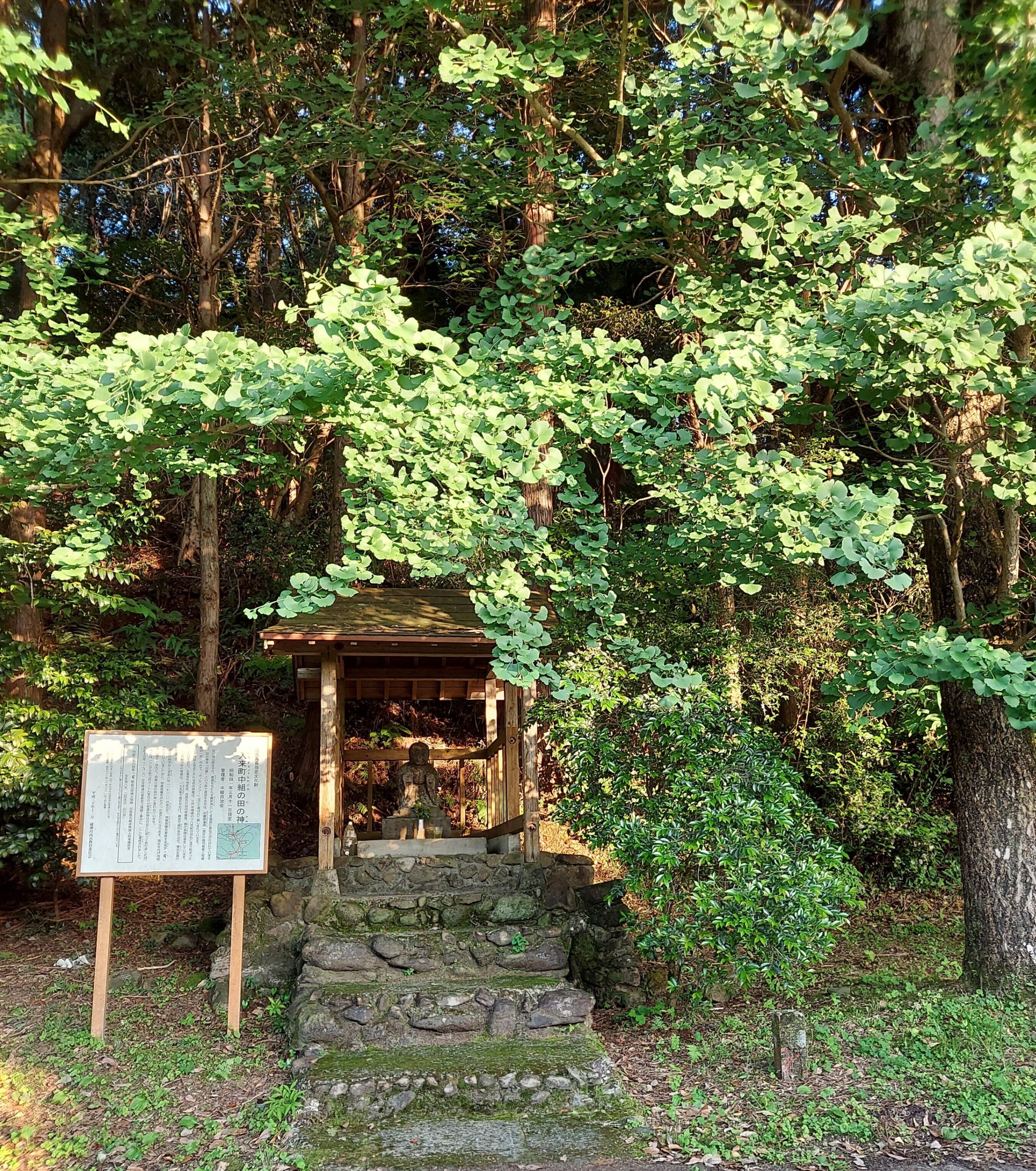 古い田の神様 タノカンサァ（田の神様）、南九州のあちこちで出くわすぞ