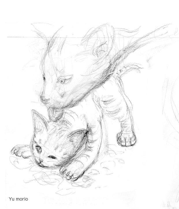 猫の絵　シリーズ扉その② 821043467a27af9f3291e20c049127