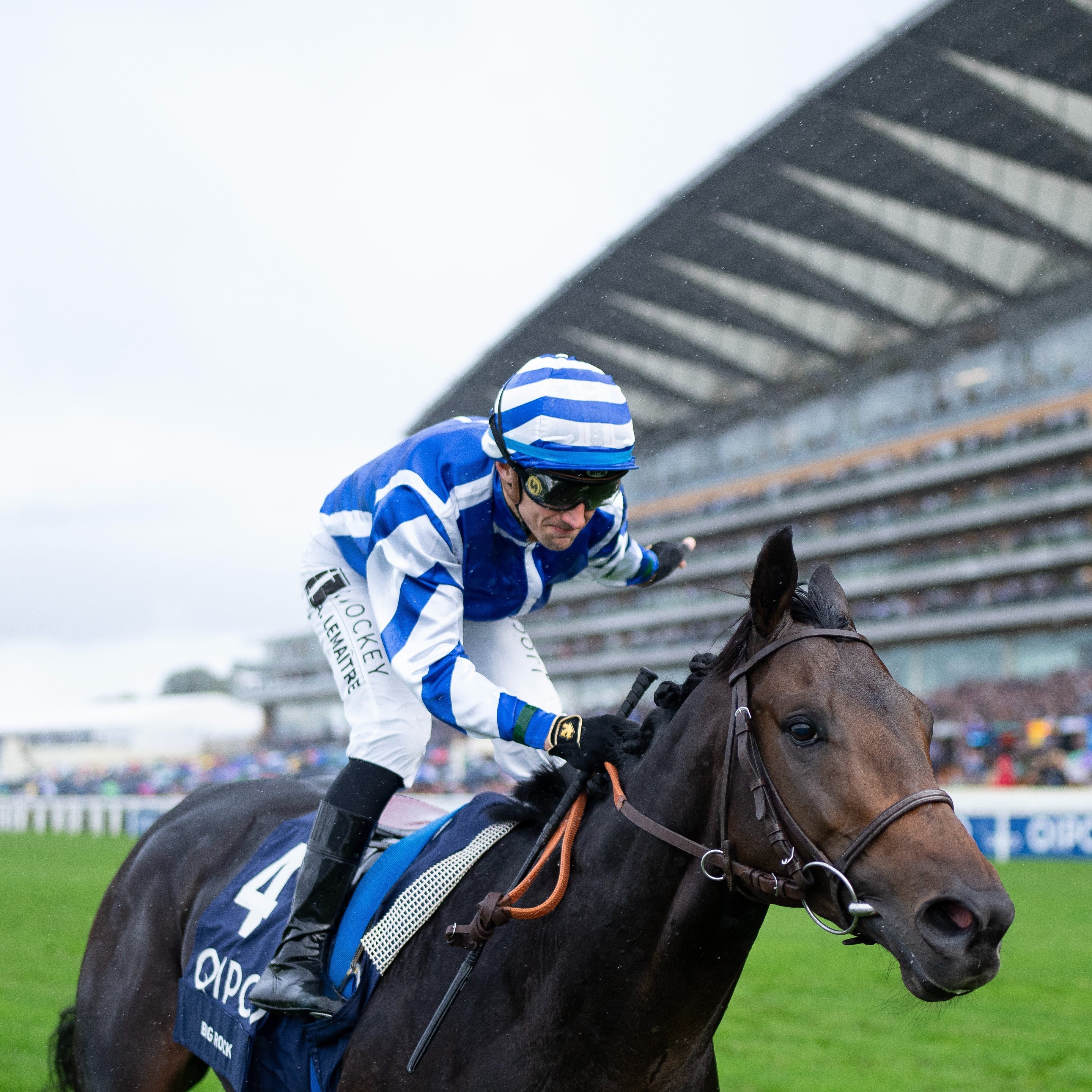 ハーツクライ　キングジョージ　現地アスコット購入馬券　激レア ハーツクライ キングジョージ 現地アスコット購入馬券 激レア