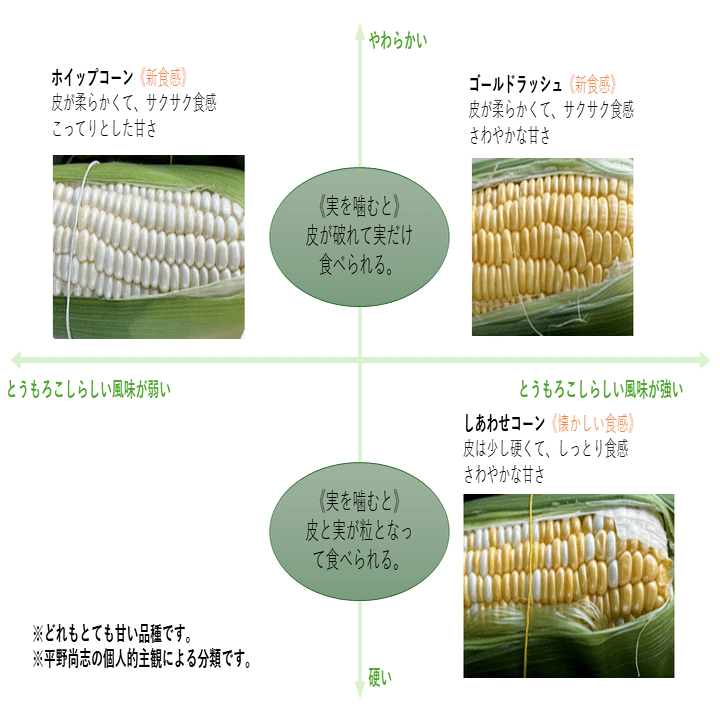 2024とうもろこし(10) 今年のチャンピオン記録｜NicePapa 平野 尚志