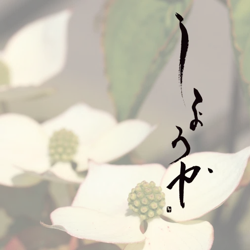 四照花～ししょうか～｜三十（さとう）